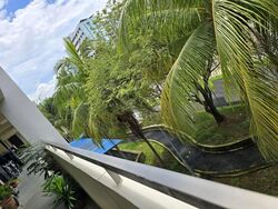 Blk 797 Woodlands Drive 72 (Woodlands), HDB Executive #535879731